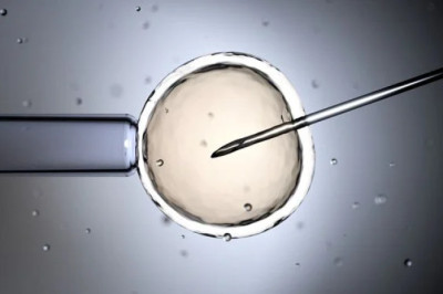 Anne Karnında Zeka Tahmini