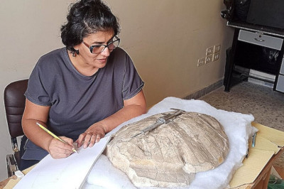 Suriye’de 50 Milyon Yıllık Deniz Kaplumbağası Fosili Bulundu