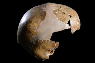 140.000 Yıllık Melez Çocuk: Neandertal ve Homo Sapiens Bağlantısı