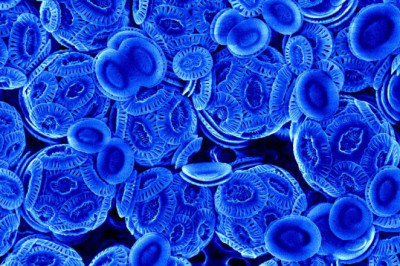 Antarktika Okyanusu'ndaki Gizemli Parıltının Sırrı Ortaya Çıktı