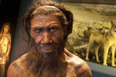 Neandertallerin Sapiens Dillerini Öğrenememesi Yok Oluşlarını Hızlandırmış Olabilir
