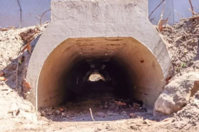Love Tunnel for Frogs: A Model Wildlife Project from the U.S.