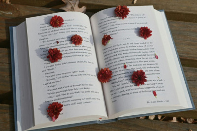 Kitap Kurdu Olmak İçin 10 Efsanevi Kitap | Okuma Listesi