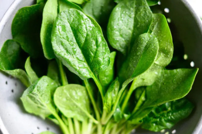 Ispanak ve Demir: Düzenli Tüketildiğinde Vücudunuza Ne Olur?