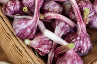 Sarımsağı Ne Zaman Yemeli? Bağışıklık, Kalp, İnflamasyon ve Sindirim İçin En Etkili Zaman