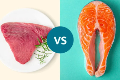 Somon mu Ton Balığı mı? Omega-3 Açısından Hangisi Daha İyi?