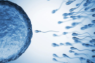 Yaşlı Erkeklerin Spermlerinde Daha Fazla Genetik Mutasyon Tespit Edildi: Yeni Araştırma Genetik Riski Ortaya Koydu