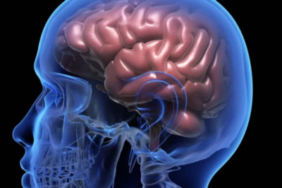 Online Beyin Egzersizleri Yaşlılarda Hafızayı 10 Yıl Gençleştirebilir